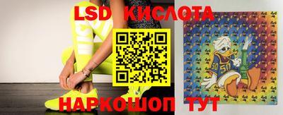 прущие грибы Нягань