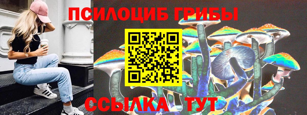 Псилоцибиновые грибы ЛСД Новошахтинск
